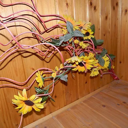 Bed and breakfast Borgo Pace *